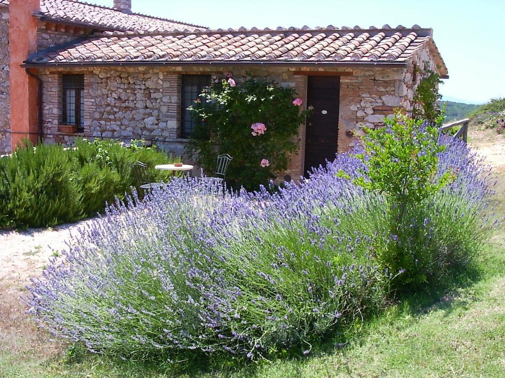 Podere Costa Romana Narni Luaran gambar